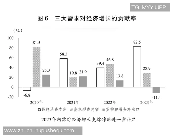 釜山与江源的对决分析探讨两地文化与经济发展的异同与未来潜力